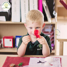 Montessori Learning with open-ended natural materials